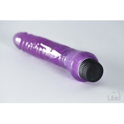 Migozo jelly Vibromasseur le grand 21 cm violet